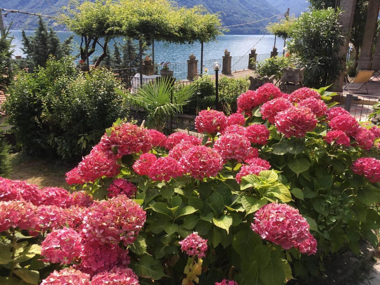 Villa Peroni Honeymoon Cottage Ардженьо Экстерьер фото